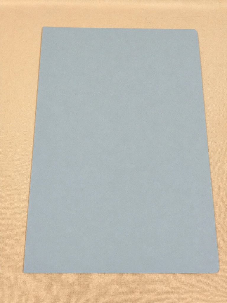 CARPETA CARTULINA OFICIO CARATULA - T03 CELESTE