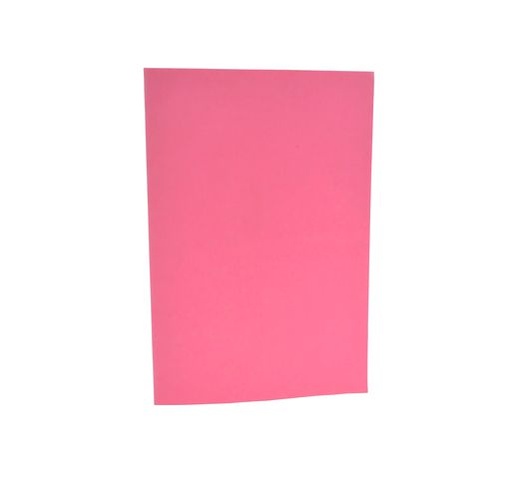 [100001003017] CARPETA CARTULINA OFICIO CARATULA - T03 ROSA